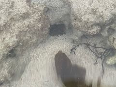 -三亚太阳湾柏悦酒店