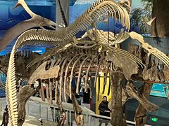 -国家自然博物馆