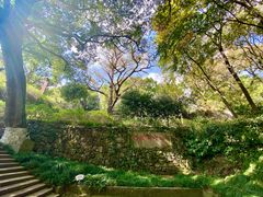 -宁波市保国寺古建筑博物馆