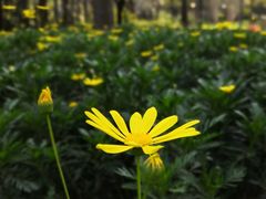 -苏州河梦清园环保主题公园