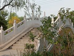 -北坞公园