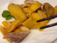 -骏莱海鲜鱼港(五角场店)