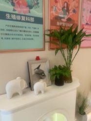 点击看大图 -Dr.林醫生产后修复·超级店(南京江宁同曦店)