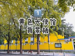 -三里屯东五街银杏大道