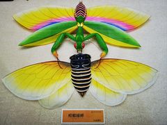 -潍坊世界风筝博物馆