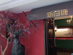 -新白鹿餐厅(银泰西湖文化广场店)