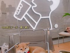 -喜茶(珠海华发商都店)