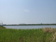 -绿堤公园