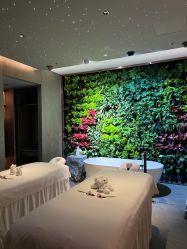 -VELEE·SPA高定疗愈会所