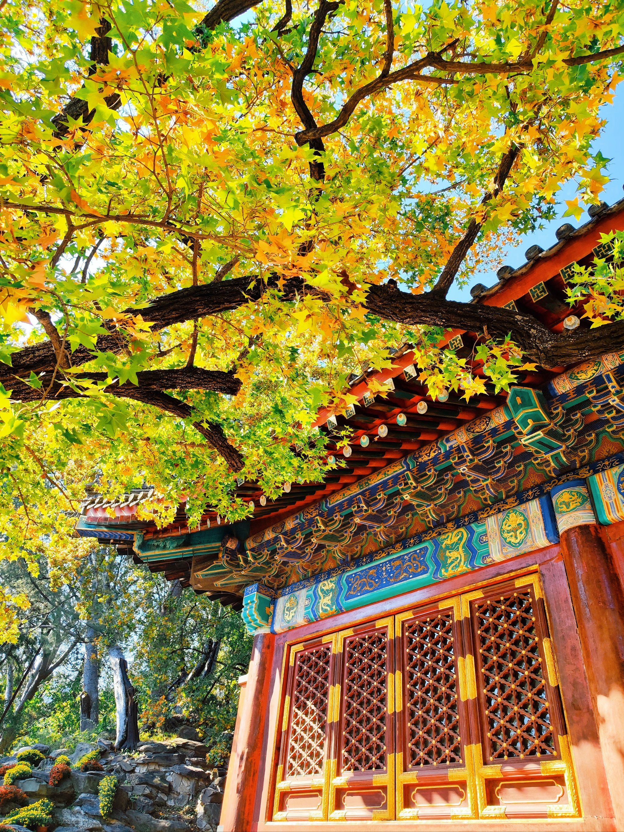 谁说红墙绿瓦就没有美丽了?