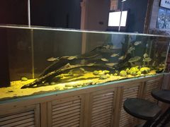-弓舍射箭俱乐部(高新总店)