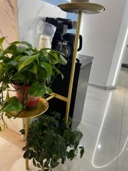 -Cream88颜皮肤管理中心