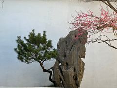 -杭州植物园
