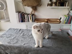 -平行世界·猫咖(首经贸店)