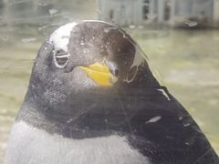 -大连圣亚海洋世界