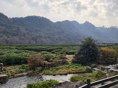 -中国茶叶博物馆(双峰馆区)