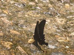 -安吉龙王山峡谷漂流