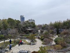 -上海吴淞炮台湾国家湿地公园