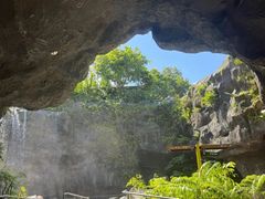 -新加坡飞禽公园