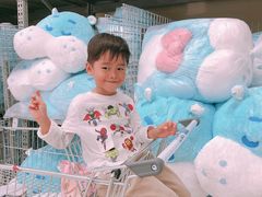 -盒马X会员店(上海森兰商都店)
