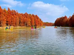 -上海海湾国家森林公园