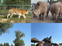 -鄂尔多斯野生动物园