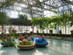 -南宫五洲植物乐园