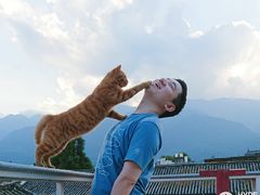 -喵屿·大理花园猫咖