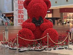 -皇庭广场