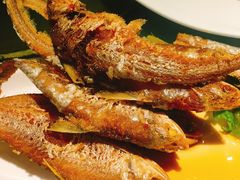-丰收日(五角场店)
