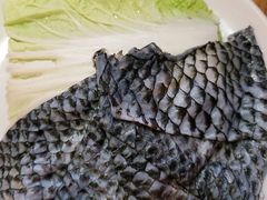 -大龙燚火锅(南山大道店)