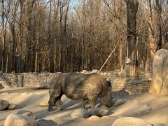 -北京野生动物园