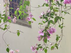 -深圳国际园林花卉博览园