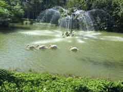 -深圳野生动物园