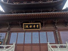 -杭州半山国家森林公园