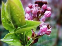 -西安市长乐公园