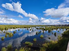 -花湖生态旅游区