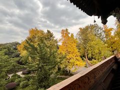 -望江楼公园