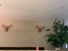 -清水湾足道馆