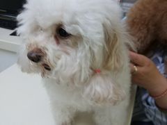 -宠颐生中康贝怡动物医院