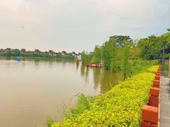 -美的鹭湖森林度假区