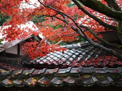 -醍醐寺