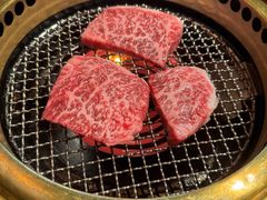 -老乾杯(深圳湾万象城店)