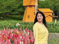 -苏州上方山国家森林公园