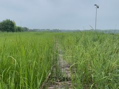 -西青郊野公园