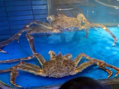 -徐记海鲜(曲江南湖店)