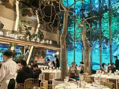 -桂满陇·海市蜃楼·黑金(国金店)