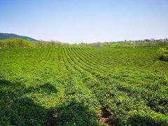 -敬亭山风景名胜区