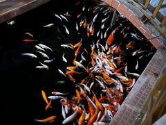 -侠成水上农庄(工业大道店)