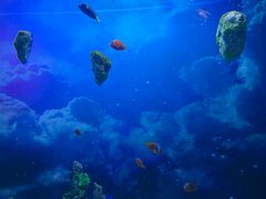 -芜湖新华联大白鲸海洋公园